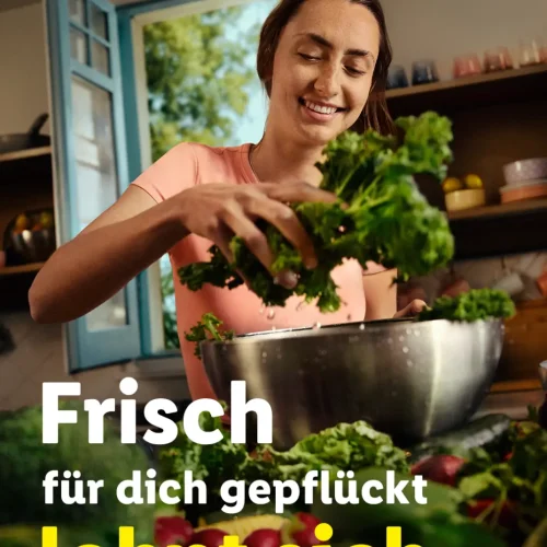 6e48e0f6-b7fb-4e69-914e-4ea5dd9e1ddd_rw_1200 copia