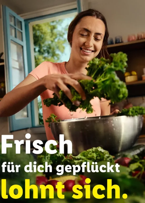 6e48e0f6-b7fb-4e69-914e-4ea5dd9e1ddd_rw_1200 copia